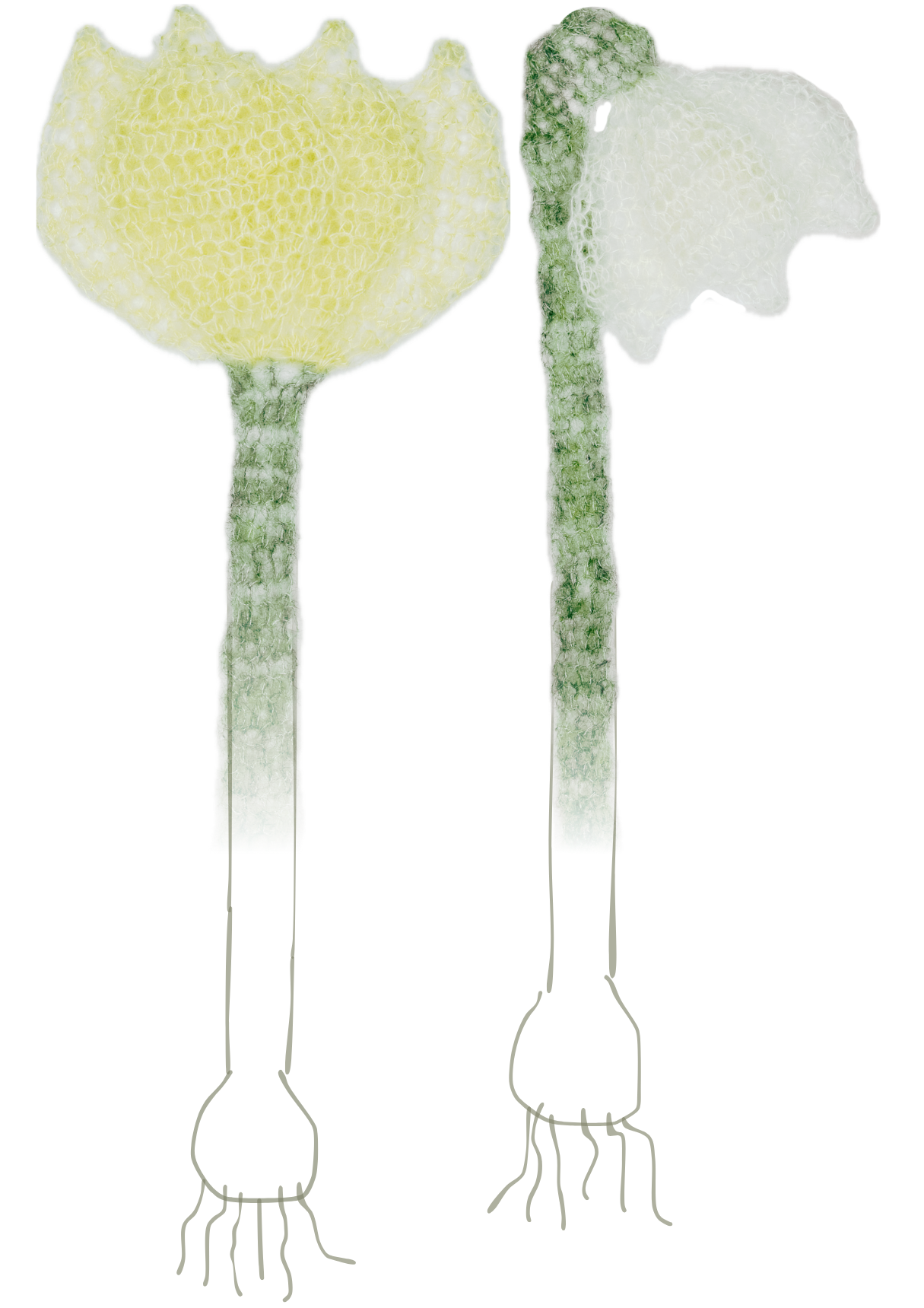 ✿opskrift✿ spring (decor) combo