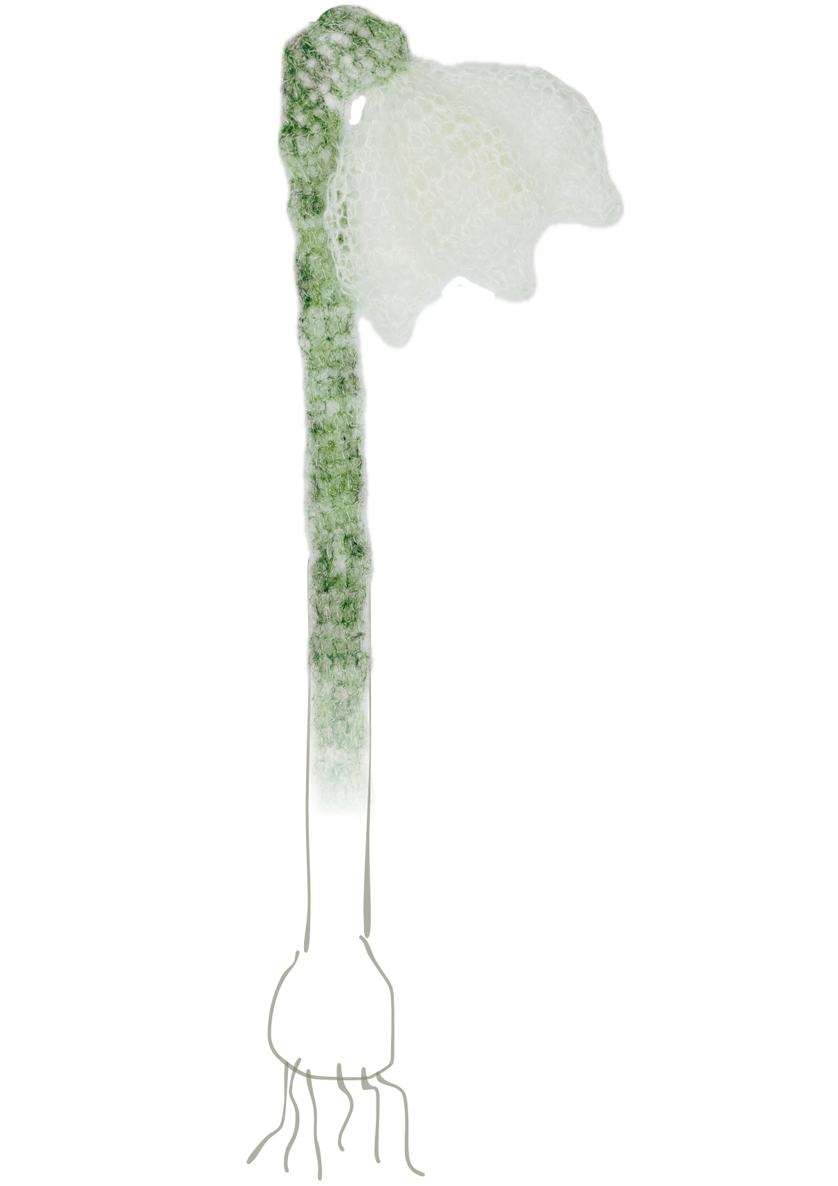 ✿opskrift✿ spring (decor) snowdrop