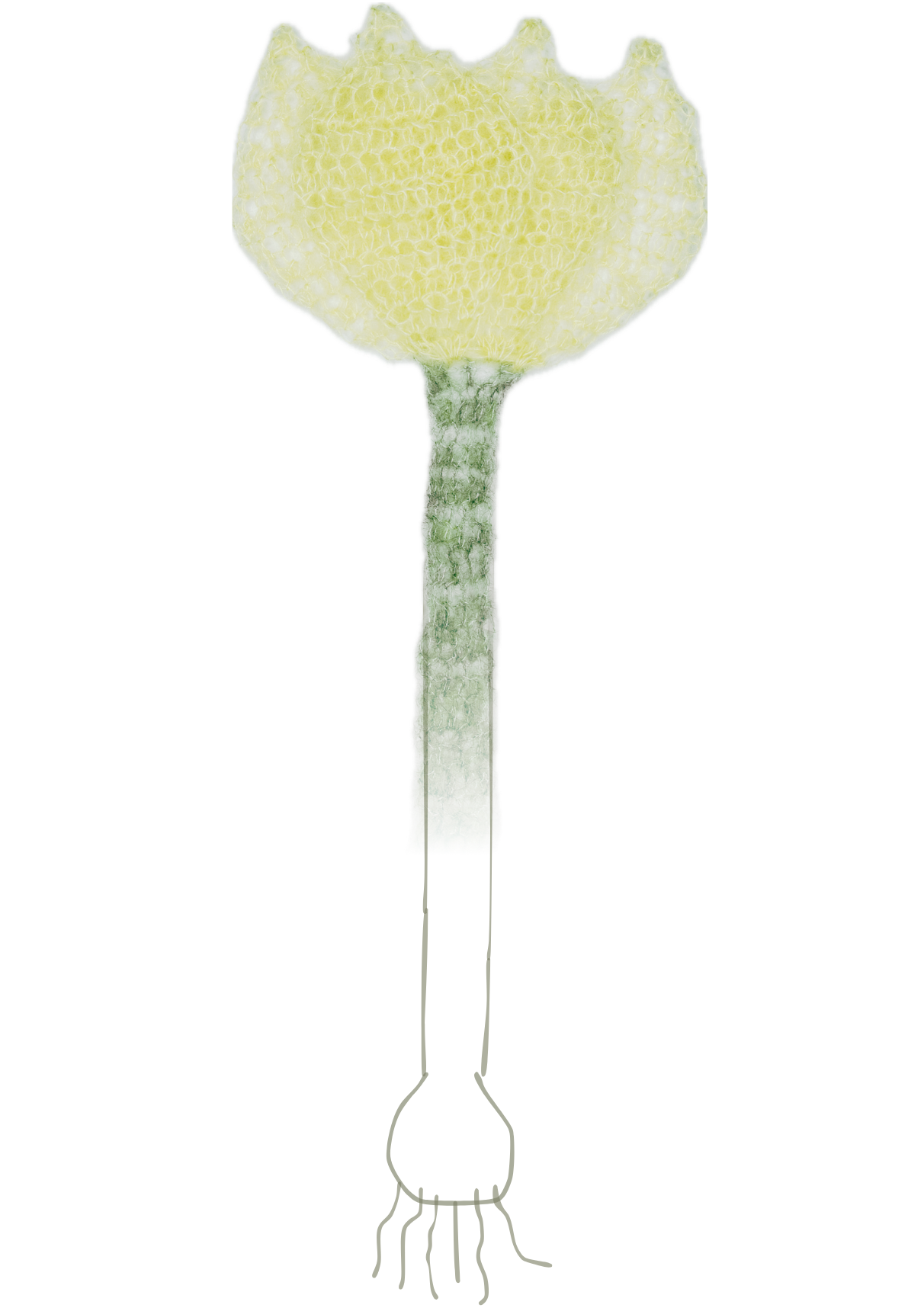 ✿opskrift✿ spring (decor) tulip